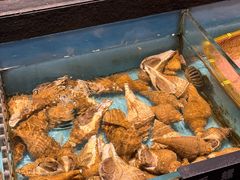 -龙宴海鲜城(经中路店)