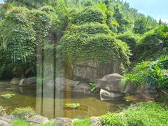 -福建鲤鱼洲酒店