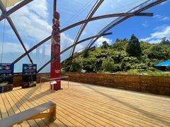 -怀托摩萤火虫洞