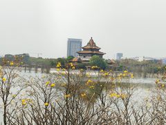 -顺峰山公园