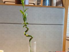 -王家渡火锅店(亦庄店)