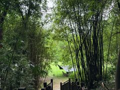 -富乐山