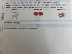 -全心全意动物诊疗中心医院(北苑店)