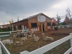 -中国马镇舞马世界主题乐园