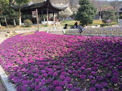 -宝岩生态观光园