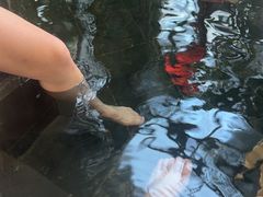 -东方华地城湿地温泉度假区