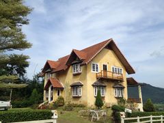 -黄色小屋