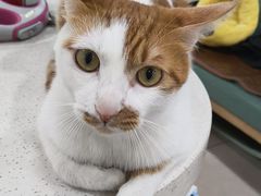 -佳雯宠物医院·皮肤科·内外科(春晓路分院)