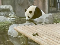 -苏州太湖国家湿地公园