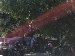 -紫竹院公园-东门停车场