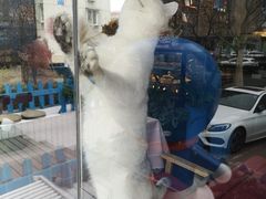 大堂-花与咖啡馆(金星楼店)