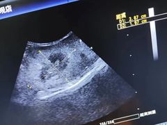 -宠福鑫康馨动物医院·骨科·眼科