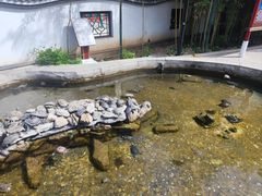 -Local泰莲庭(虹鳟鱼店)