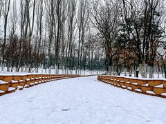 -大兴滨河森林公园