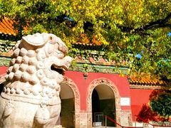 -沈阳市东陵公园