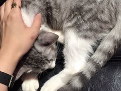 -MIKAKU(万达广场上海宝山店)