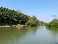 -大湾区中央湿地公园