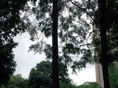 -成都市活水公园