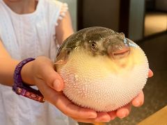 -永安鱼庄·镇江菜(东吴路店)