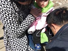 -长白岛森林公园