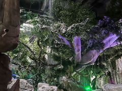 -泉城欧乐堡海洋极地世界