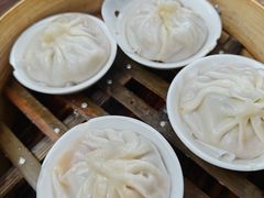 -莱莱小笼·乔艾