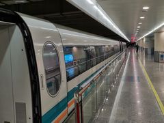 -龙阳路磁悬浮列车总站-停车场