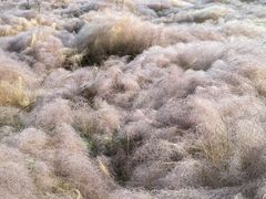 -华山御温泉度假村