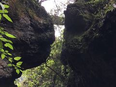 -夏霖九天银瀑风景区