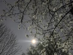 -浙江大学(玉泉校区)