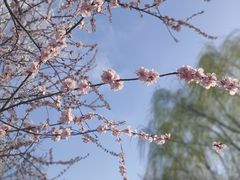 -三里河公园