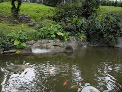 -香山湖公园