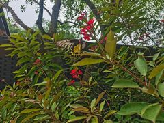 -云溪植物园