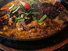 -老板恋上鱼(环山路店)