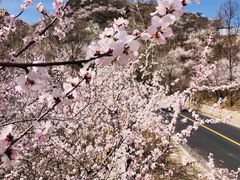 -十三陵水库