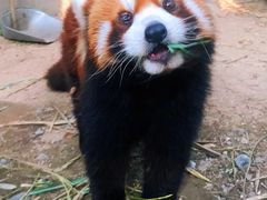 景点-水绘园