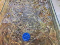 -大锅强·蒸海鲜青岛菜(吾悦广场店)