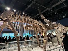 -国家自然博物馆