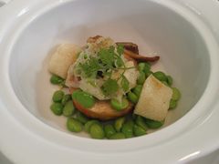 -蝶舍·MAISON PAPILLON