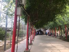 -河北村民俗体验园