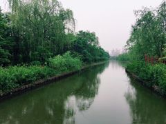-洛阳市隋唐城遗址植物园