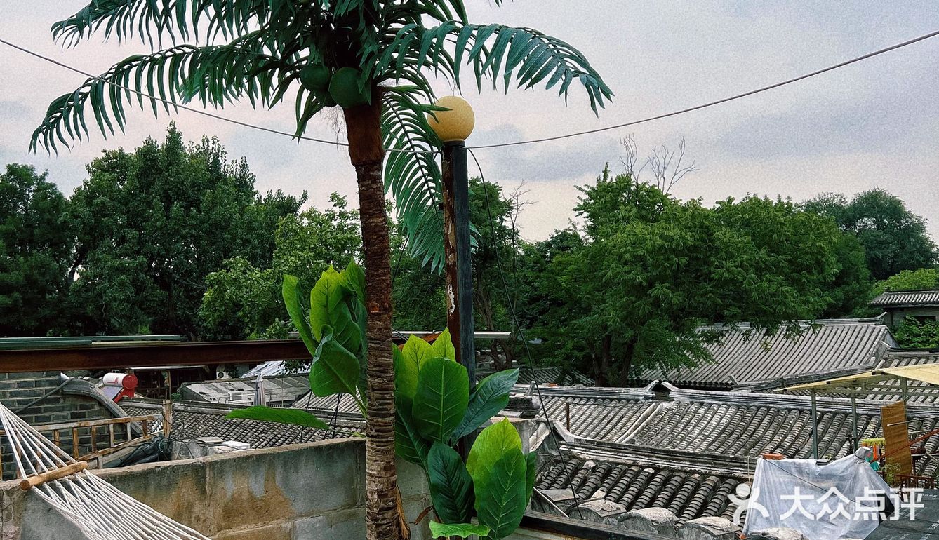 [礼花]北京探店｜正宗海南糟粕醋火锅🥘瞬间有在海南度假的感觉！🏖