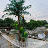[礼花]北京探店｜正宗海南糟粕醋火锅🥘瞬间有在海南度假的感觉！🏖