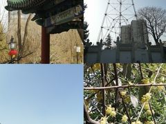 -月坛公园