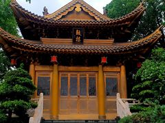 -上海东林寺(金山区)