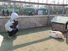 -前小桔亲子创意农场·草莓采摘·露营烧烤