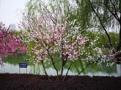 -滨湖塘西河公园