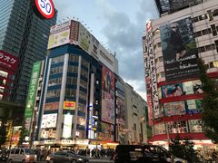 -秋叶原电器街