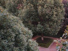 -联东U谷(恒永路)