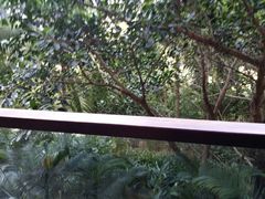 -三亚亚龙湾红树林度假酒店